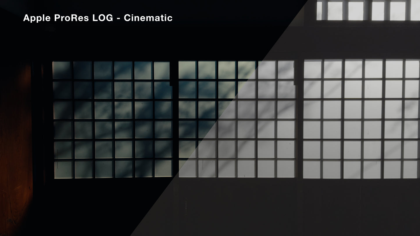 Apple ProRes LOG Cinematic Luts