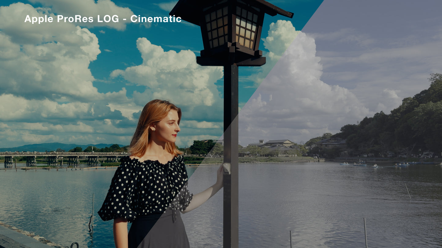 Apple ProRes LOG Cinematic Luts