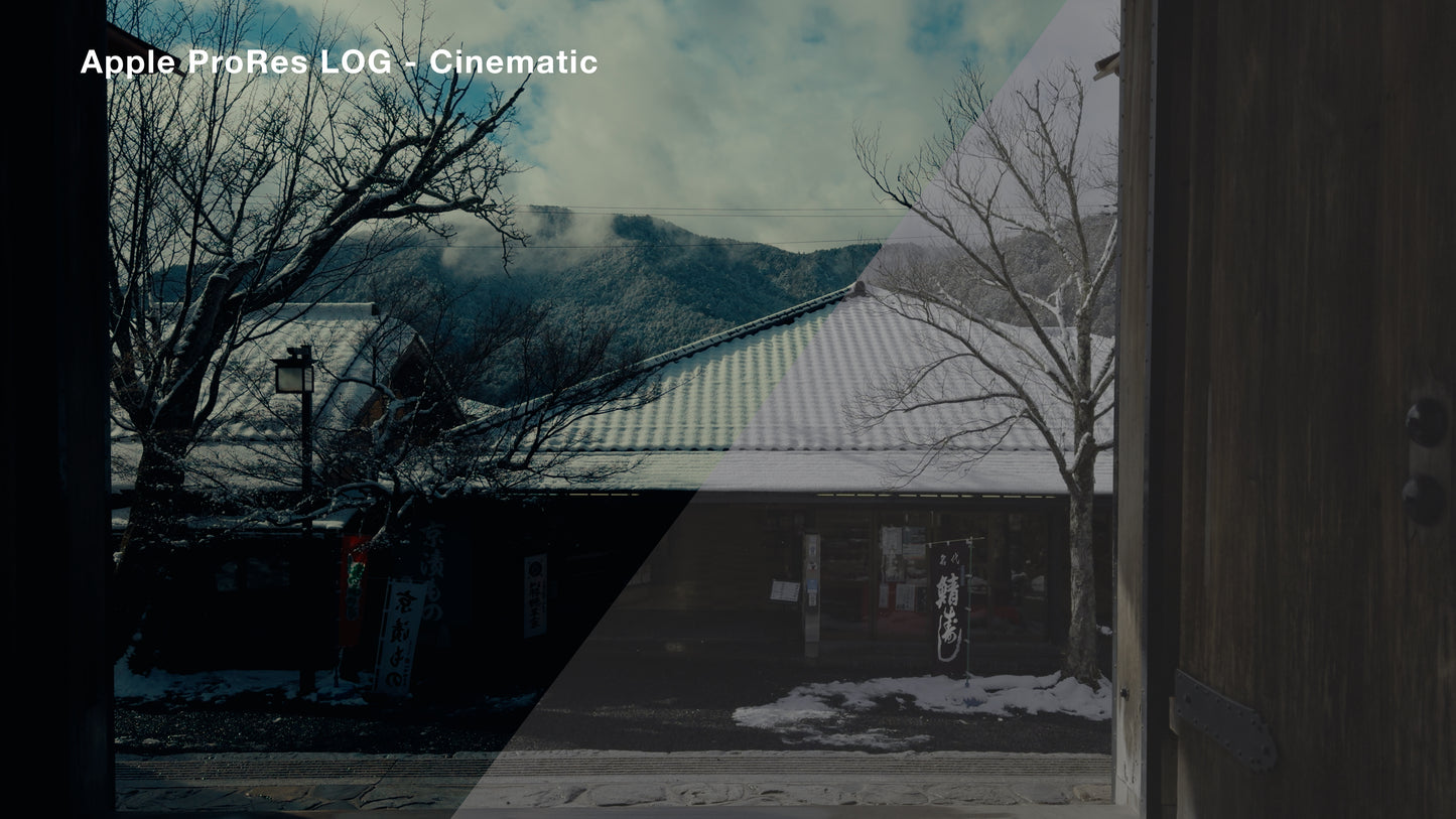 Apple ProRes LOG Cinematic Luts