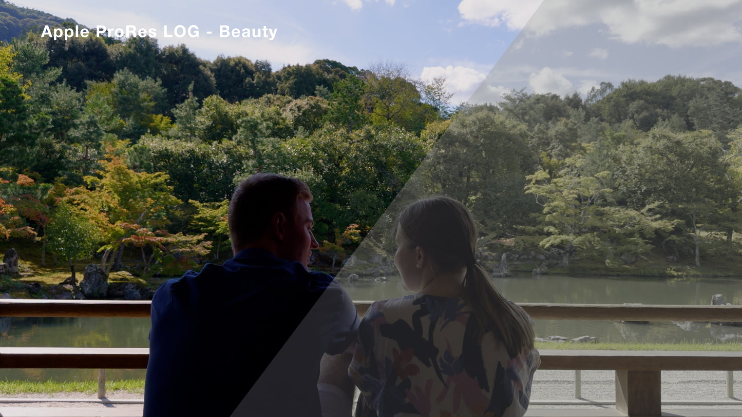 Apple ProRes LOG Cinematic Luts