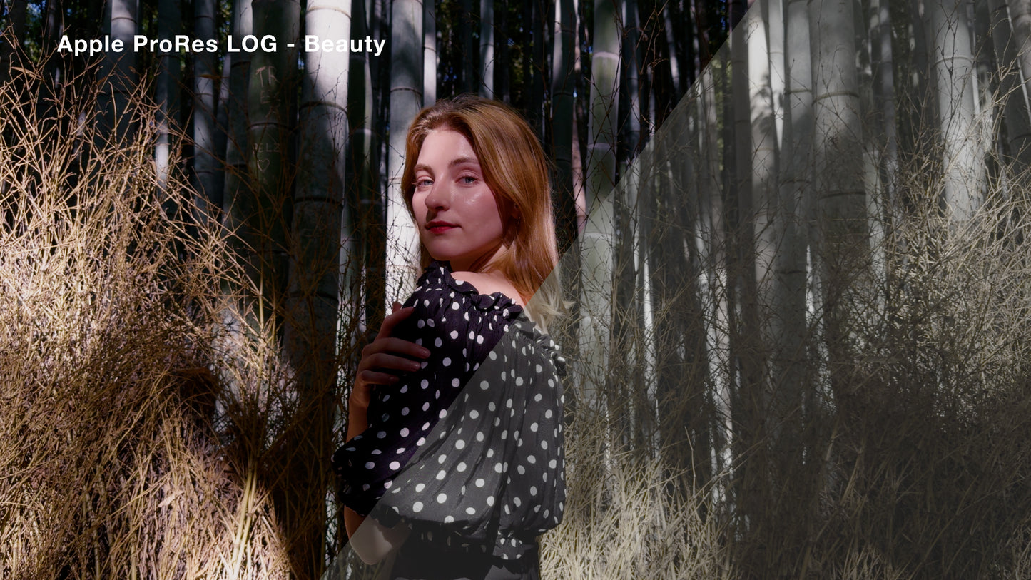 Apple ProRes LOG Cinematic Luts