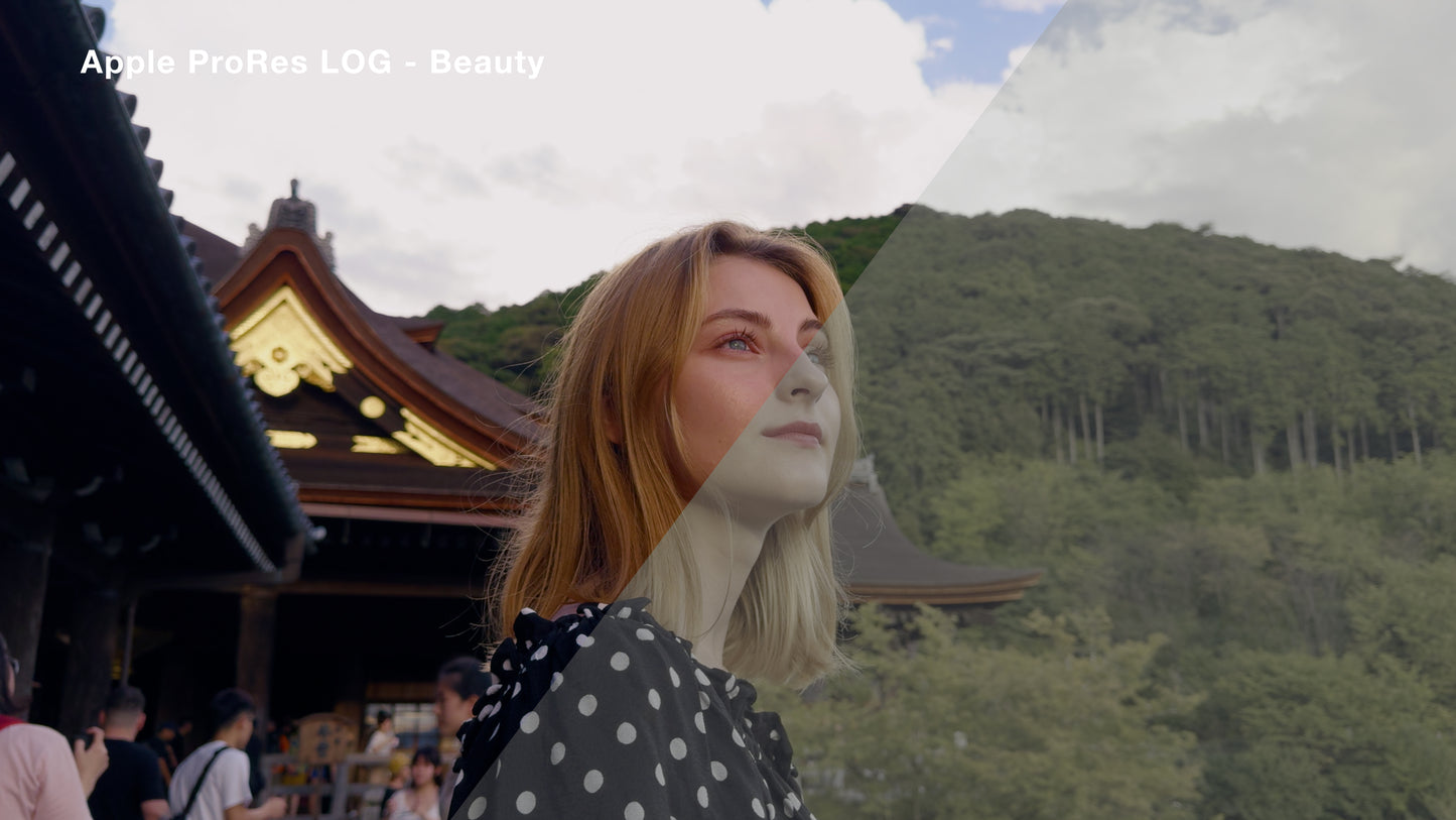 Apple ProRes LOG Cinematic Luts